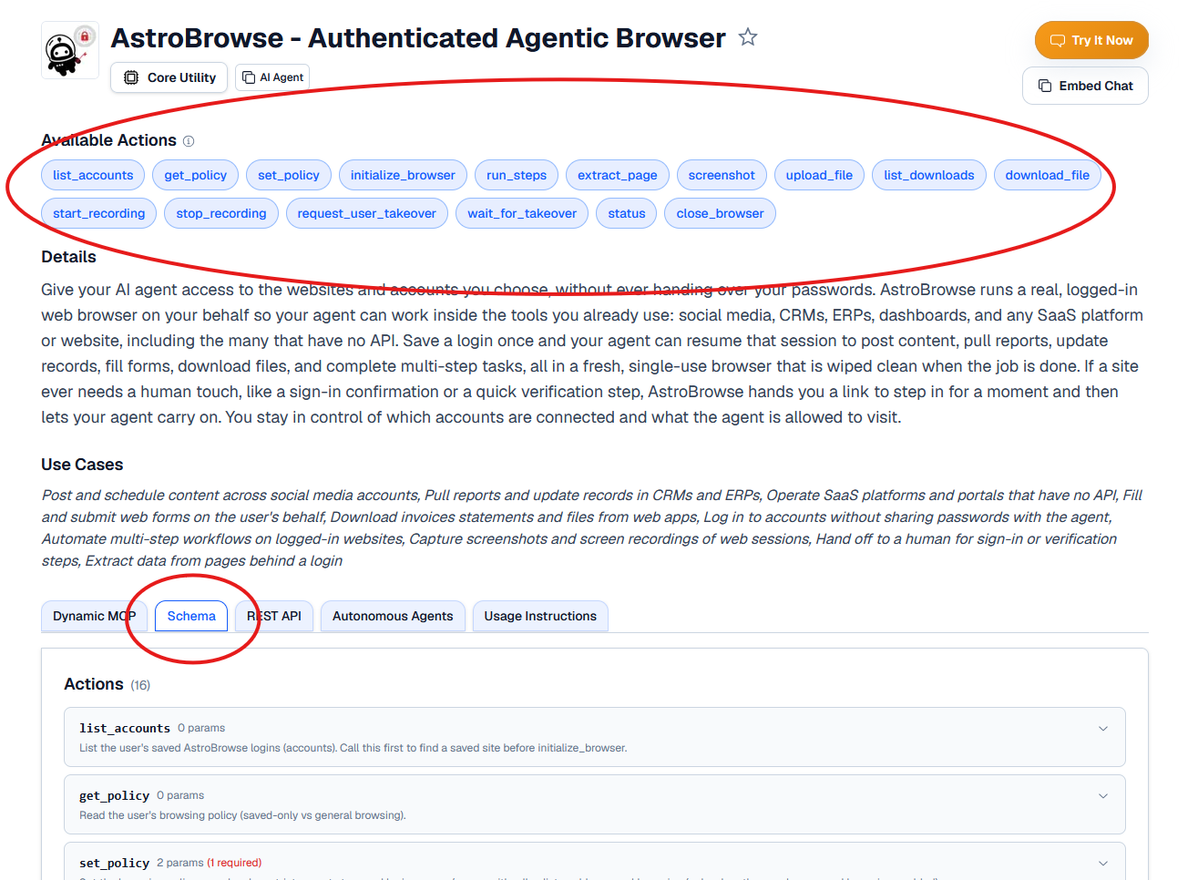 AstroBrowse marketplace page showing the Schema tab selected to view the API schema and endpoint reference